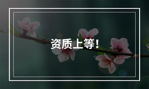 资质上等！