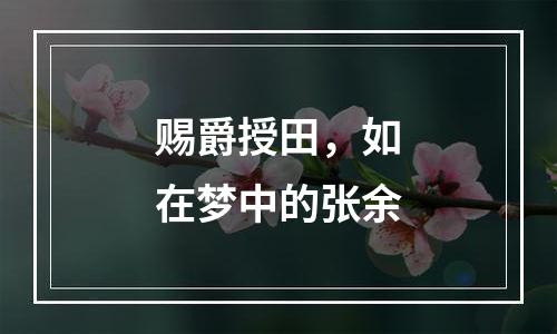 赐爵授田，如在梦中的张余