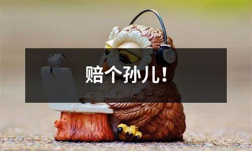 赔个孙儿！