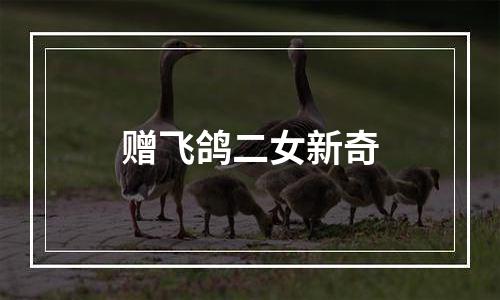 赠飞鸽二女新奇