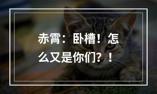 赤霄：卧槽！怎么又是你们？！