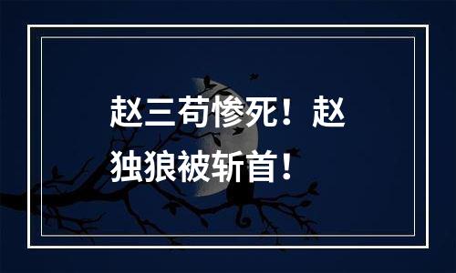 赵三苟惨死！赵独狼被斩首！