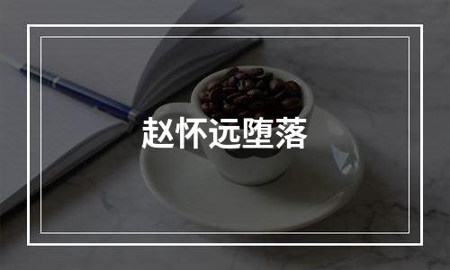 赵怀远堕落