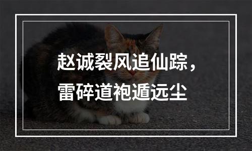 赵诚裂风追仙踪，雷碎道袍遁远尘