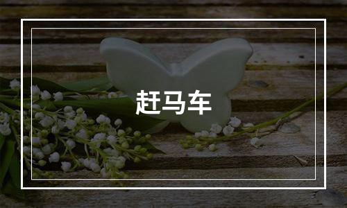 赶马车