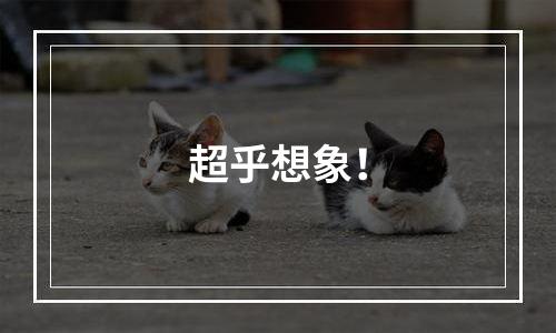 超乎想象！