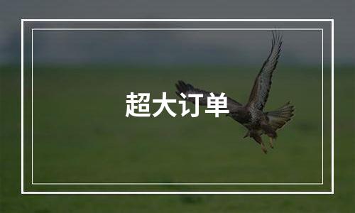超大订单