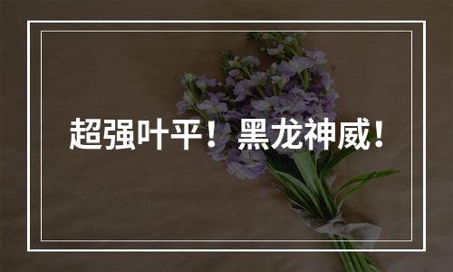 超强叶平！黑龙神威！