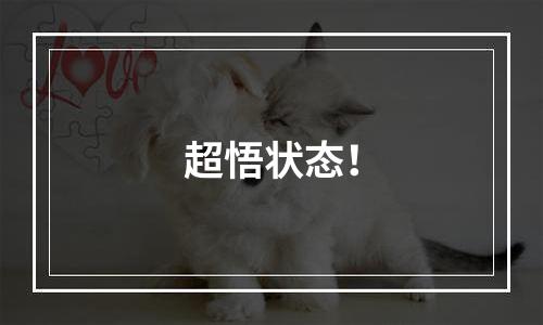 超悟状态！
