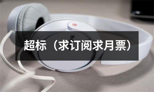 超标（求订阅求月票）