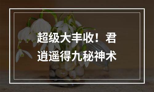 超级大丰收！君逍遥得九秘神术