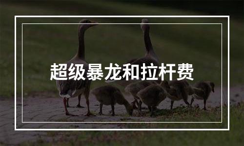 超级暴龙和拉杆费