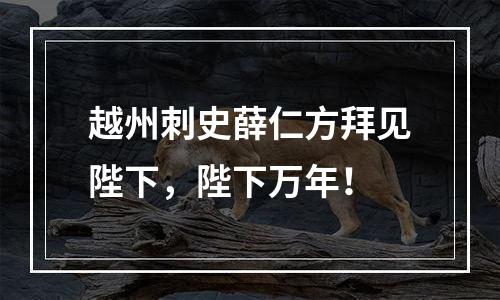 越州刺史薛仁方拜见陛下，陛下万年！