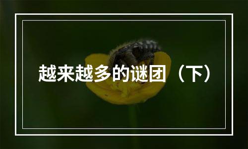 越来越多的谜团（下）