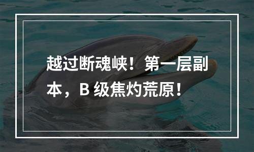 越过断魂峡！第一层副本，B+级焦灼荒原！
