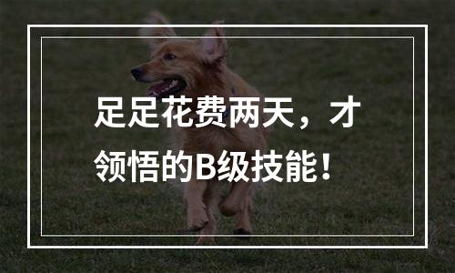 足足花费两天，才领悟的B级技能！