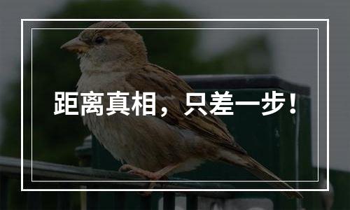 距离真相，只差一步！