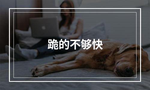 跪的不够快