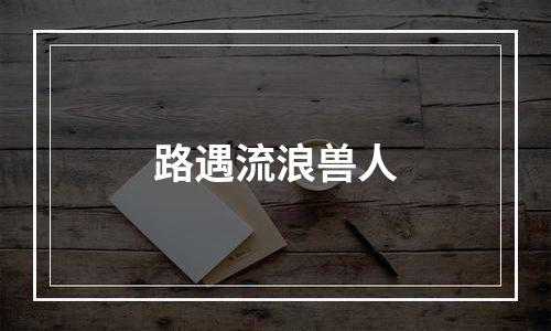 路遇流浪兽人