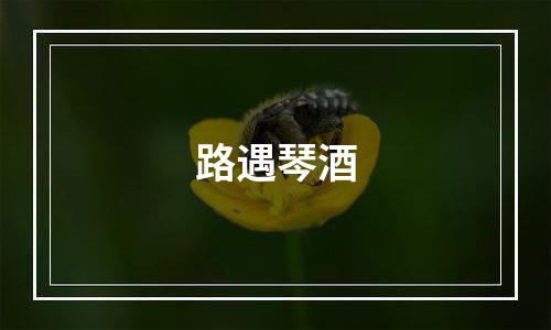 路遇琴酒