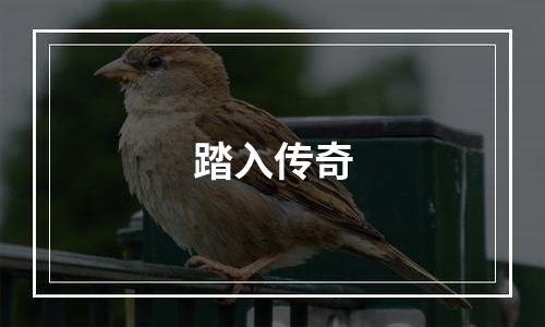 踏入传奇