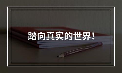 踏向真实的世界！