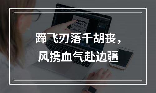 蹄飞刃落千胡丧， 风携血气赴边疆