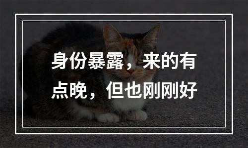身份暴露，来的有点晚，但也刚刚好