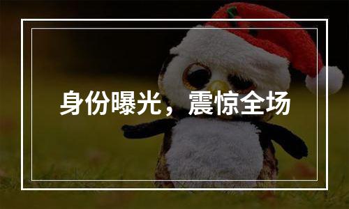 身份曝光，震惊全场