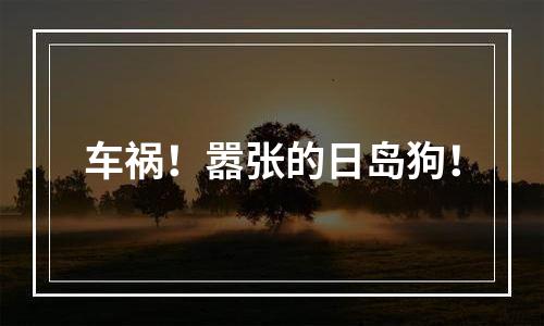 车祸！嚣张的日岛狗！