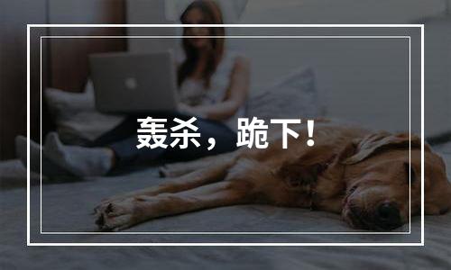轰杀，跪下！