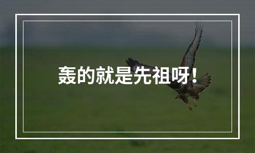 轰的就是先祖呀！