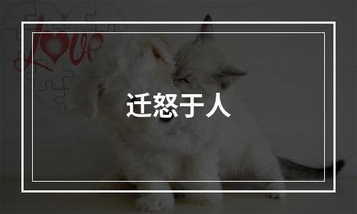 迁怒于人