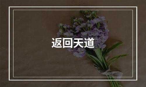 返回天道