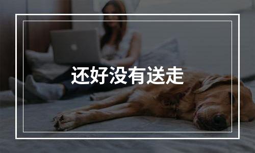 还好没有送走