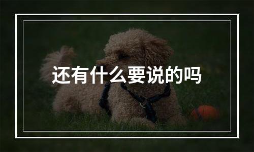 还有什么要说的吗