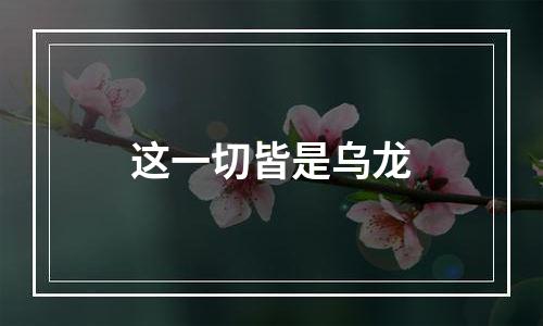 这一切皆是乌龙