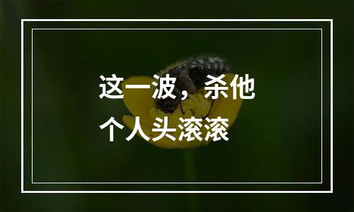 这一波，杀他个人头滚滚