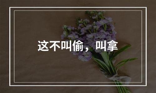 这不叫偷，叫拿