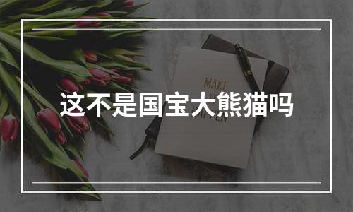 这不是国宝大熊猫吗
