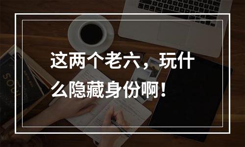 这两个老六，玩什么隐藏身份啊！
