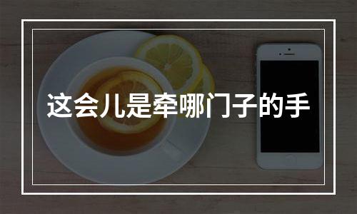 这会儿是牵哪门子的手