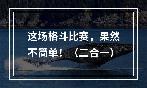 这场格斗比赛，果然不简单！（二合一）