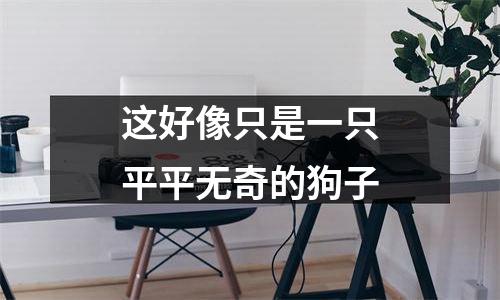 这好像只是一只平平无奇的狗子