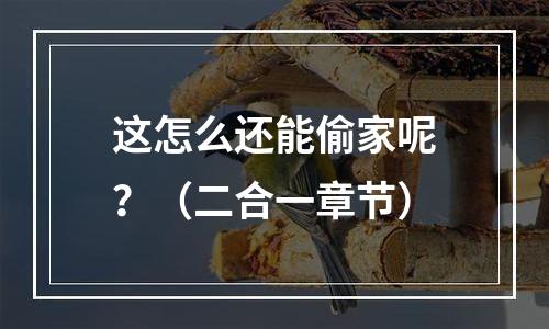这怎么还能偷家呢？（二合一章节）