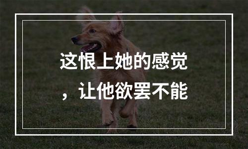 这恨上她的感觉，让他欲罢不能