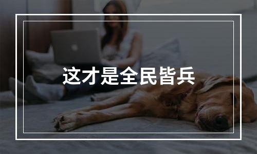 这才是全民皆兵