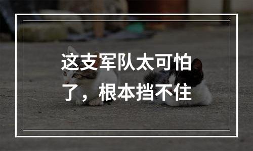 这支军队太可怕了，根本挡不住