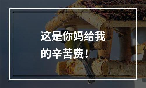 这是你妈给我的辛苦费！