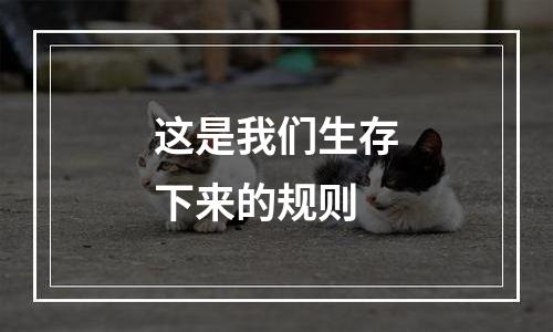 这是我们生存下来的规则